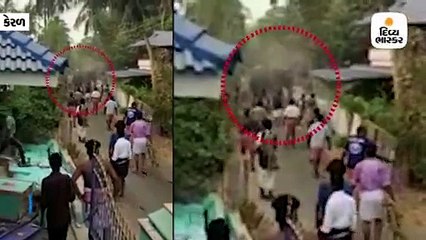 ગાંડાતૂર હાથીએ ગામમાં ફેલાવ્યો આતંક, કારને રમકડાની જેમ ફંગોળી