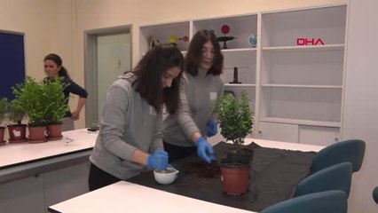 Lise Öğrencileri Sürdürülebilir Enerji Projesi ile Türkiye İkincisi Oldu