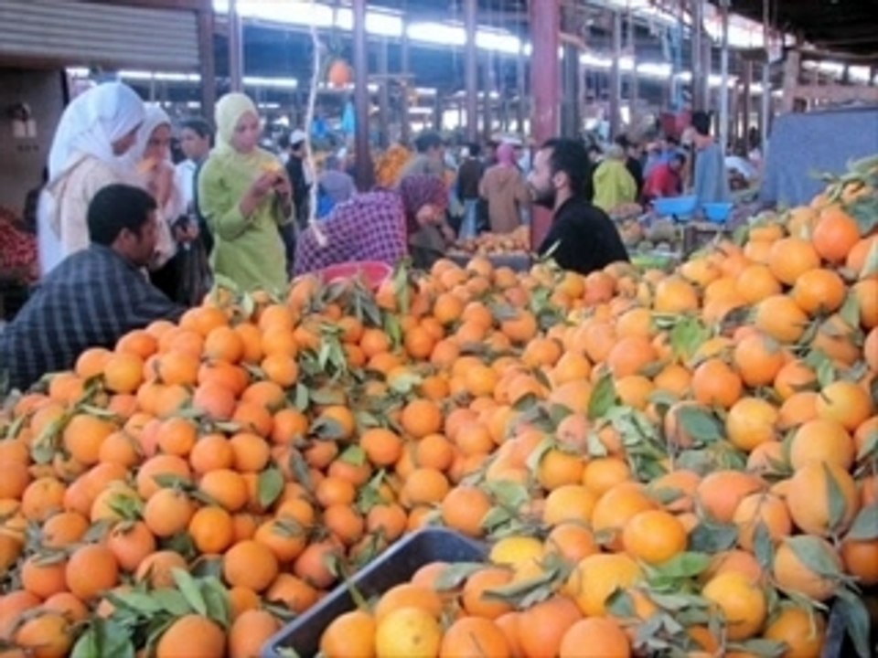 Doukkali-souk bacharia