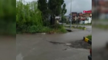 Bartın Aç Kalan Çakal Mahalleye İndi