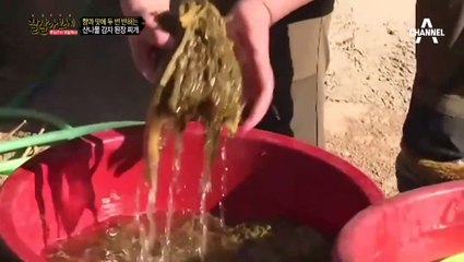 영양출장안마 -후불1ØØ%ョØ1Øe2671e8135｛카톡CT369｝영양전지역출장안마'출장마사지'영양출장안마'영양출장마사지'출장안마'출장업소후기ЕĦ