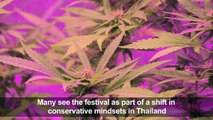 Thailand marijuana festival has visitors on a high