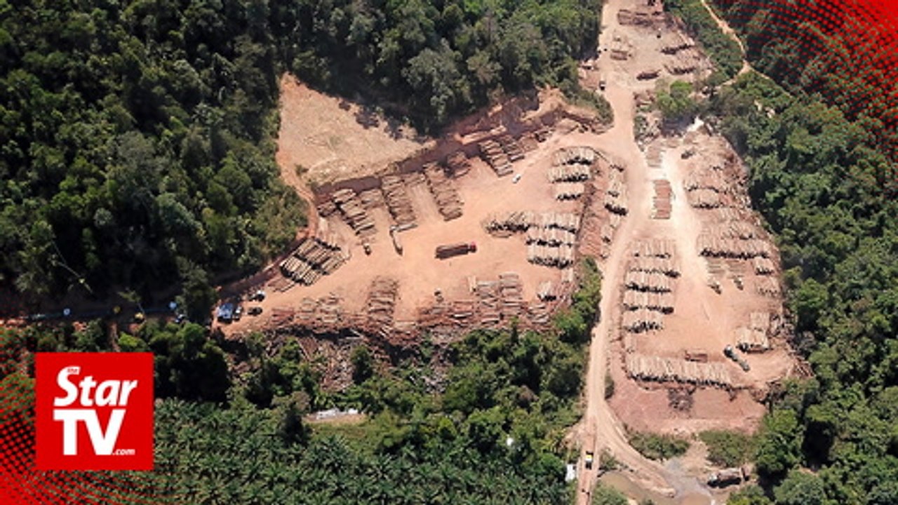 Logging activities rampant near water catchments in Kedah