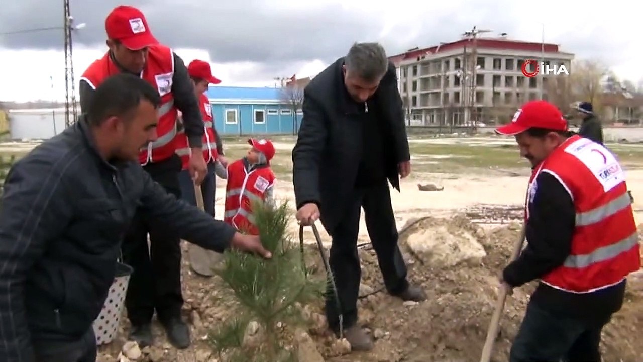 Türk Kızılay Erciş şubesi fidan dikti