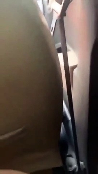 Taxi phàn nàn chó hôi, khách gắt: "Chó toàn tiền chục triệu"