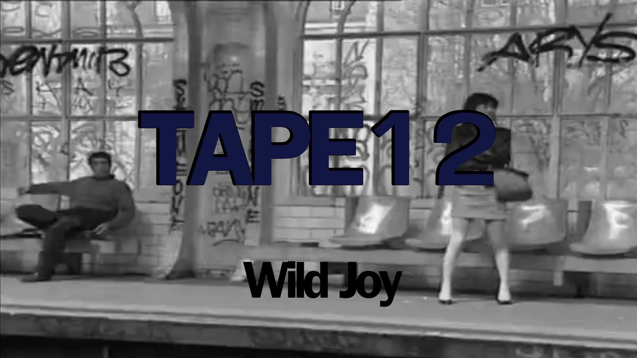 Instru Hip-hop Tape#12 "Wild Joy"