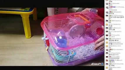 전주출장안마 -후불1ØØ%ョØ7Øc7333c9649｛카톡XPF889｝전주전지역출장안마'출장마사지'전주출장안마'전주출장마사지'출장안마'출장마사지가격ħ→