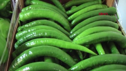 Mersin Acı Çekerek Kazandılar