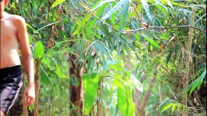 La Technologie Primitive - la Fronde de chasse par catapulte - la cuisiner, manger de délicieux