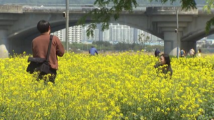 완연한 봄..."나들이 나왔어요" / YTN