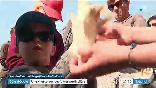 Côte d'Opale : des enfants participent à une chasse aux œufs particulière et ramassent des capsules d’œuf de raie