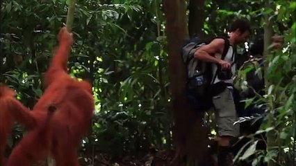 장흥출장안마 -후불1ØØ%ョØ7Øe7575eØØ54｛카톡GD951｝장흥전지역출장안마'출장마사지'장흥출장안마'장흥출장마사지'출장안마'출장만남추천りЛ