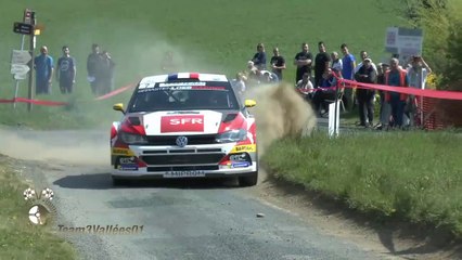 Rallye Lyon Charbonnières 2019 Show and mistakes