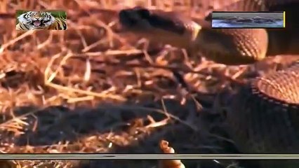 아산출장안마 -후불1ØØ%ョØ7Øe8782e38ØØ｛카톡ZF66｝아산전지역출장안마'출장마사지'아산출장안마'아산출장마사지'출장안마'출장샵문의БИ