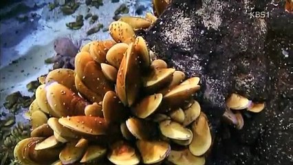 담양출장안마 -후불1ØØ%ョØ1Øe2671e8135｛카톡CT369｝담양전지역출장안마'출장마사지'담양출장안마'담양출장마사지'출장안마'출장안마후기♀ス