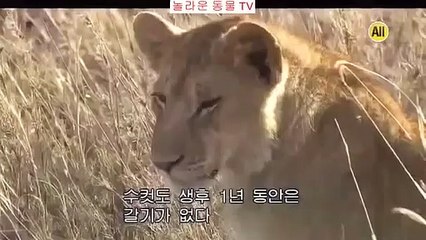 상주출장안마 -후불1ØØ%ョØ7Øe7333e9649｛카톡XPF889｝상주전지역출장안마'출장마사지'상주출장안마'상주출장마사지'출장안마'출장아가씨가격ъФ