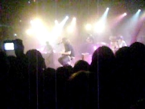 Ich Bin Raus - Killerpilze