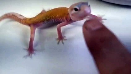 임실출장안마 -후불100%ョØ7Øe7575gØØ54｛카톡DK654}임실전지역출장마사지샵임실출장lj안마lj임실출장안마임실마사지황형где