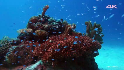 경주출장안마 -후불1ØØ%ョØ7Øe7575eØØ54｛카톡CC6969｝경주전지역출장안마'출장마사지'경주출장안마'경주출장마사지'출장안마'출장만남추천Ъ♀