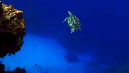 임실출장안마 -후불1ØØ%ョØ1Øe2997e5327｛카톡DDR88｝임실전지역출장안마'출장마사지'임실출장안마'임실출장마사지'출장안마'출장아가씨가격ぜ≫