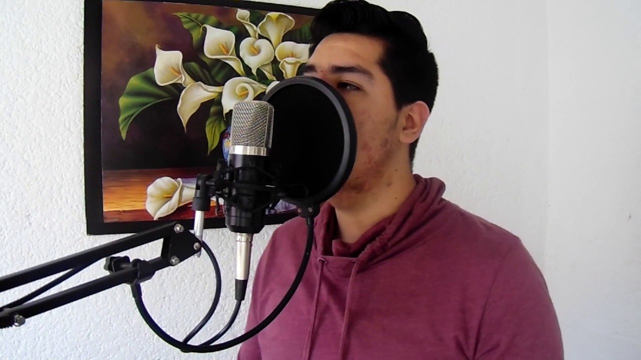 Pato Gallina Love『Vocal Cover』『Ft  iTownGamePlay』