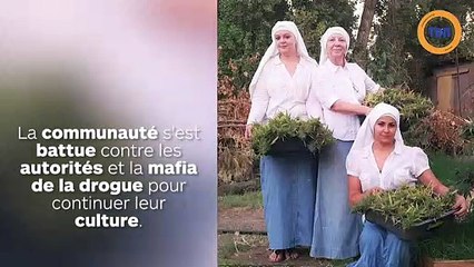 Les drôles de cultures de ces bonnes soeurs