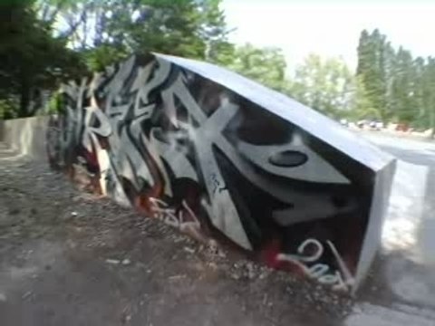 Skate 2007 à Amiens