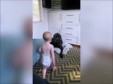 Este bebé no le tiene miedo a los perros