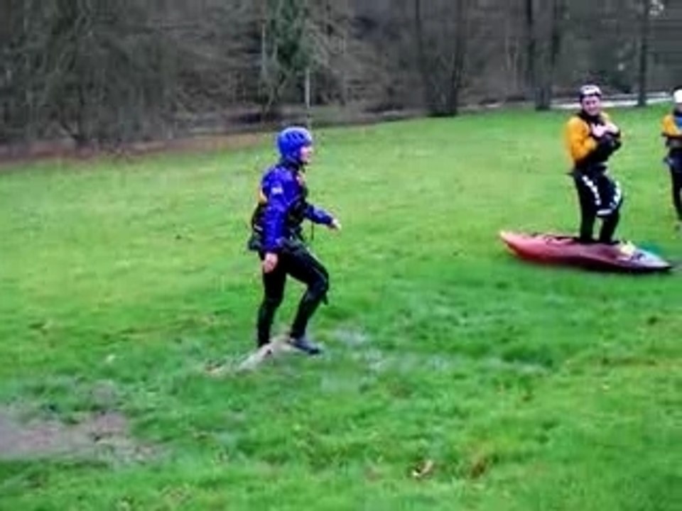 Saut