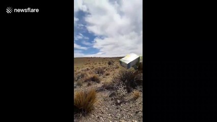 Man rescues wild fox with head stuck in milk carton