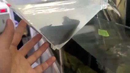 계룡출장안마 -후불100%ョØ7Ød7333w9649｛카톡LGT010｝계룡전지역출장마사지샵계룡출장lj안마lj계룡출장안마계룡마사지황형БГД