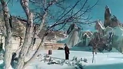 Musa Eroğlu - Turnaların Göçü