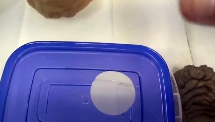 광주출장안마 -후불100%ョØ7Øa73Ø1g9649｛카톡CS69｝광주전지역출장마사지샵광주출장lj안마lj광주출장안마광주마사지황형∑⇒∃