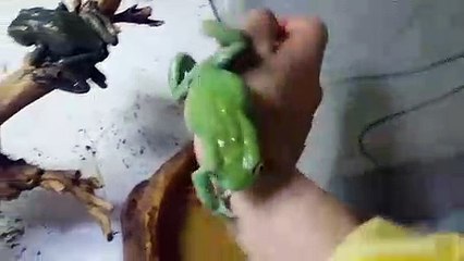 봉화출장안마 -후불100%ョØ7Øc7575kØØ54｛카톡GD951}봉화전지역출장마사지샵봉화출장lj안마lj봉화출장안마봉화마사지황형ЛМН