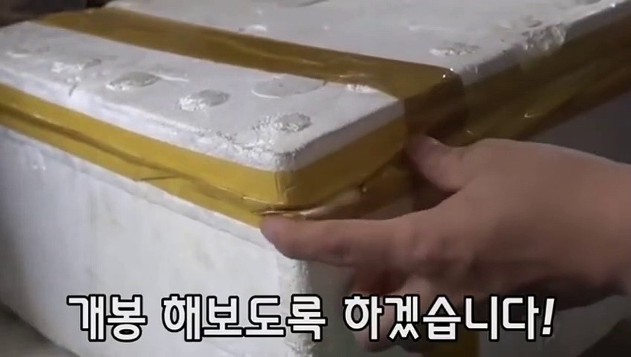 홍천출장안마 -후불100%ョØ7Øa73Ø1g9649｛카톡CS69｝홍천전지역출장마사지샵홍천출장lj안마lj홍천출장안마홍천마사지황형ヂッツ