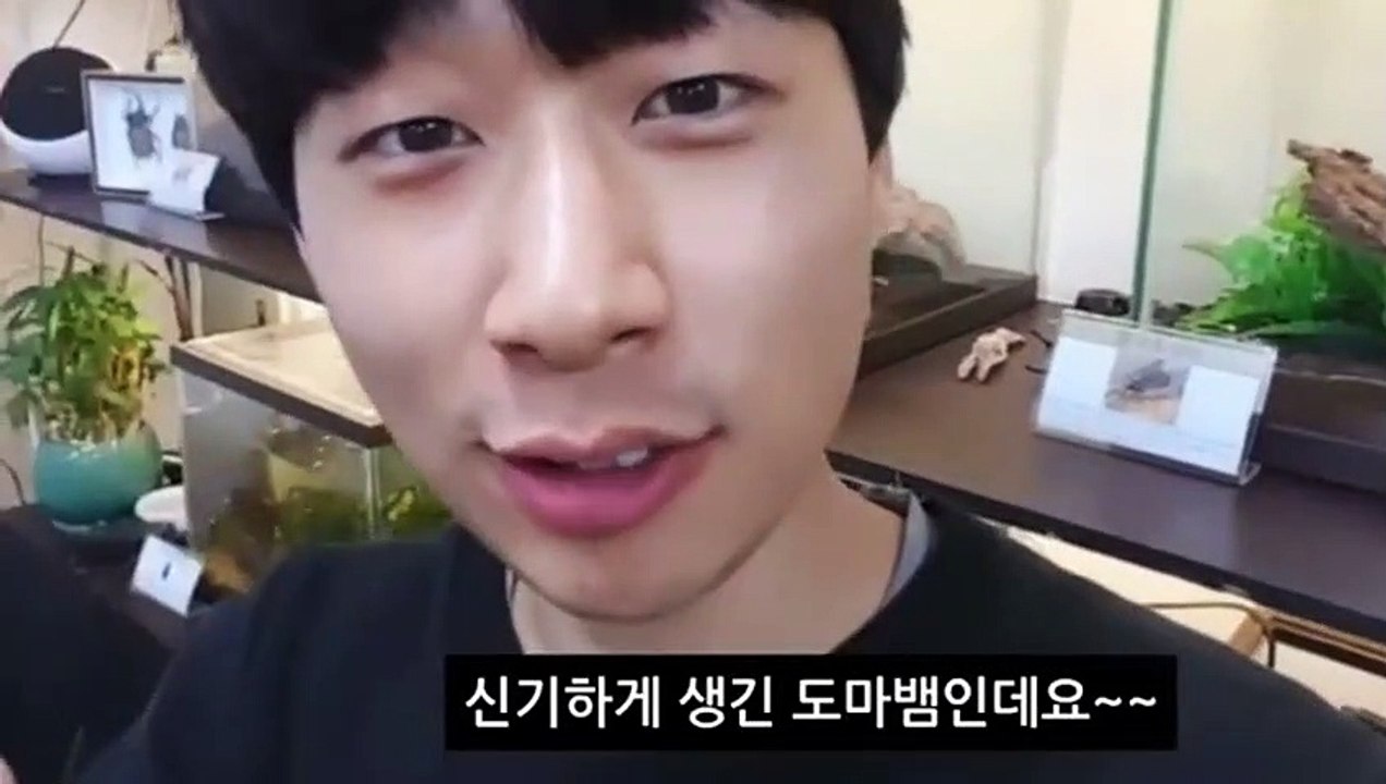 홍천출장안마 -후불100%ョØ7Ød7333w9649｛카톡LGT010｝홍천전지역출장마사지샵홍천출장lj안마lj홍천출장안마홍천마사지황형♪∀