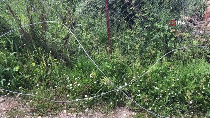 - Antalya’da otomobil elektrik direğine çarptı: 2 ölü, 1 yaralı