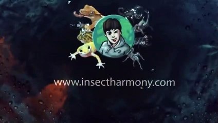 용산출장안마 -후불100%ョØ7Øg5222w6739｛카톡KKK1541｝용산전지역출장마사지샵용산출장lj안마lj용산출장안마용산마사지황형てでと