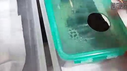 양양출장안마 -후불100%ョØ7Øp7575aØØ54｛카톡RD654}양양전지역출장마사지샵양양출장lj안마lj양양출장안마양양마사지황형オカガ