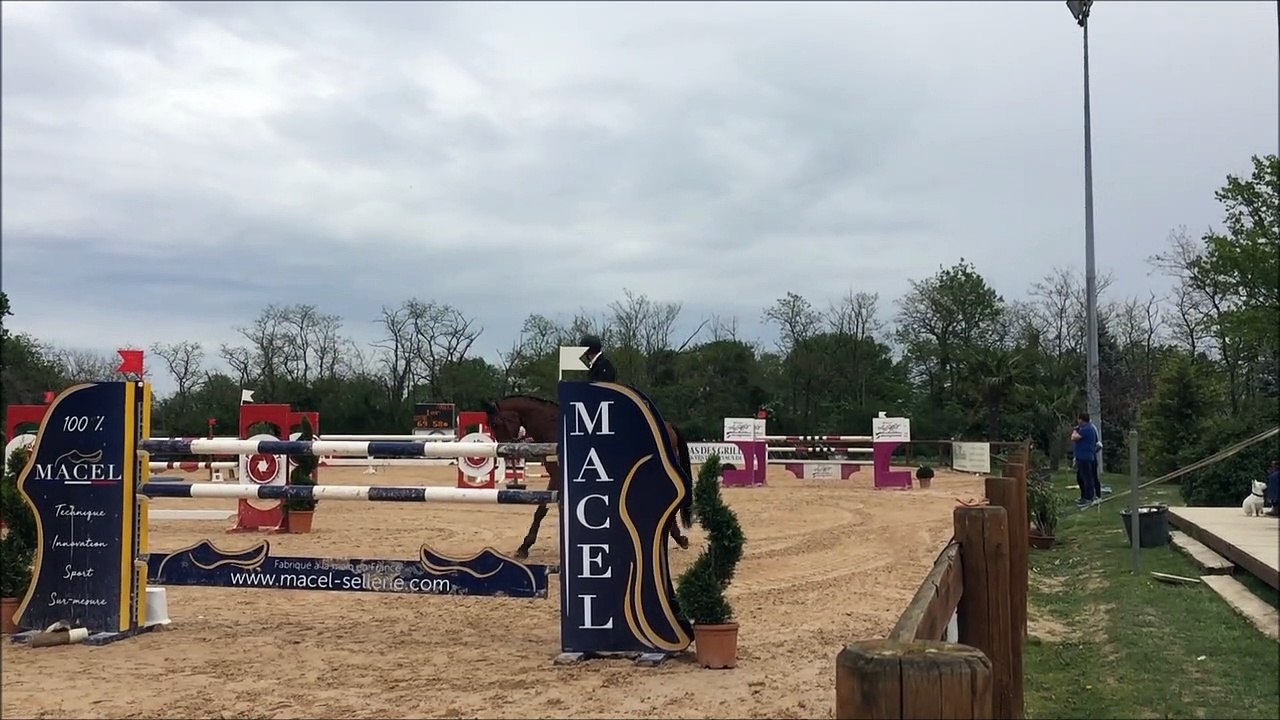 Compétition équestre à la Sauvageonne, à Arnas