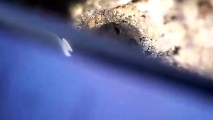 익산출장안마 -후불100%ョØ7Øp7575aØØ54｛카톡RD654}익산전지역출장마사지샵익산출장lj안마lj익산출장안마익산마사지황형‡♭