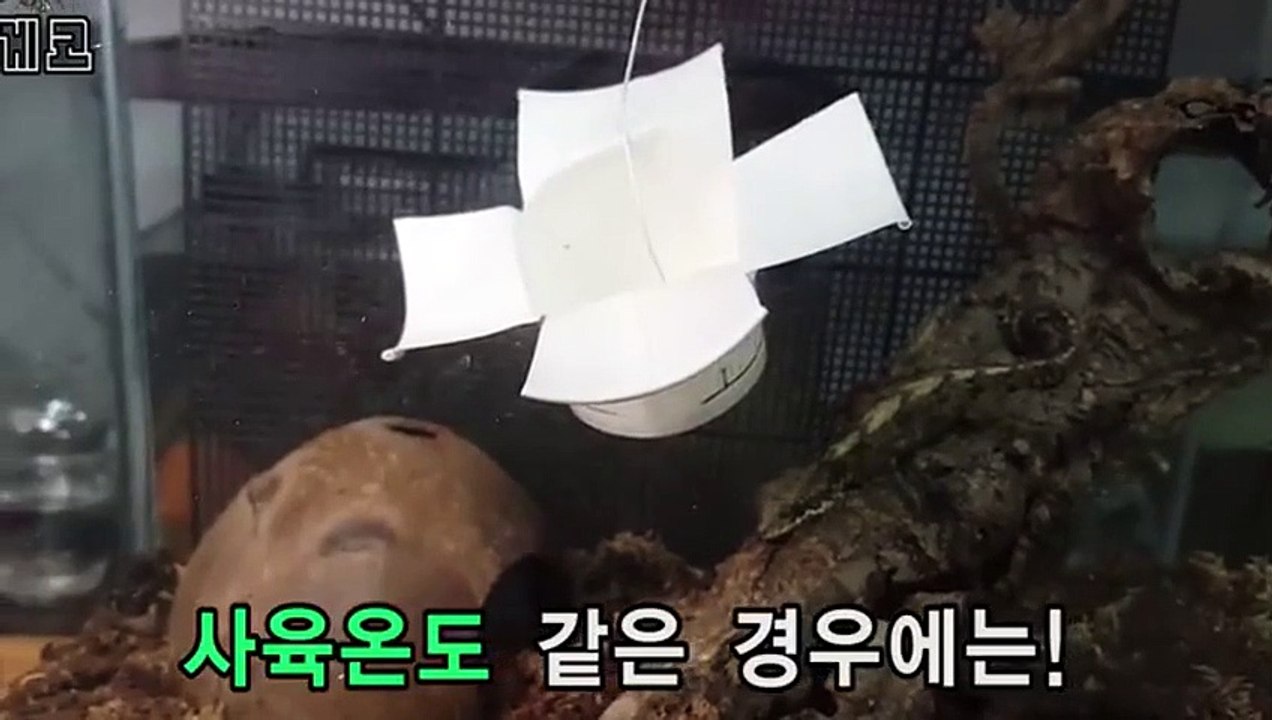 안동출장안마 -후불100%ョØ1Øy2997g5327｛카톡PP888｝안동전지역출장마사지샵안동출장lj안마lj안동출장안마안동마사지황형ぬねの