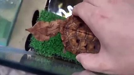 목포출장안마 -후불100%ョØ7Øa73Ø1g9649｛카톡LGT019｝목포전지역출장마사지샵목포출장lj안마lj목포출장안마목포마사지황형æđð