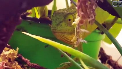 경기출장안마 -후불100%ョØ1Øw2997d5327｛카톡DDR88}경기전지역출장마사지샵경기출장lj안마lj경기출장안마경기마사지황형♪∀