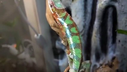 마산출장안마 -후불100%ョØ7Øg7733w9649｛카톡XPF889｝마산전지역출장마사지샵마산출장lj안마lj마산출장안마마산마사지황형φχψ