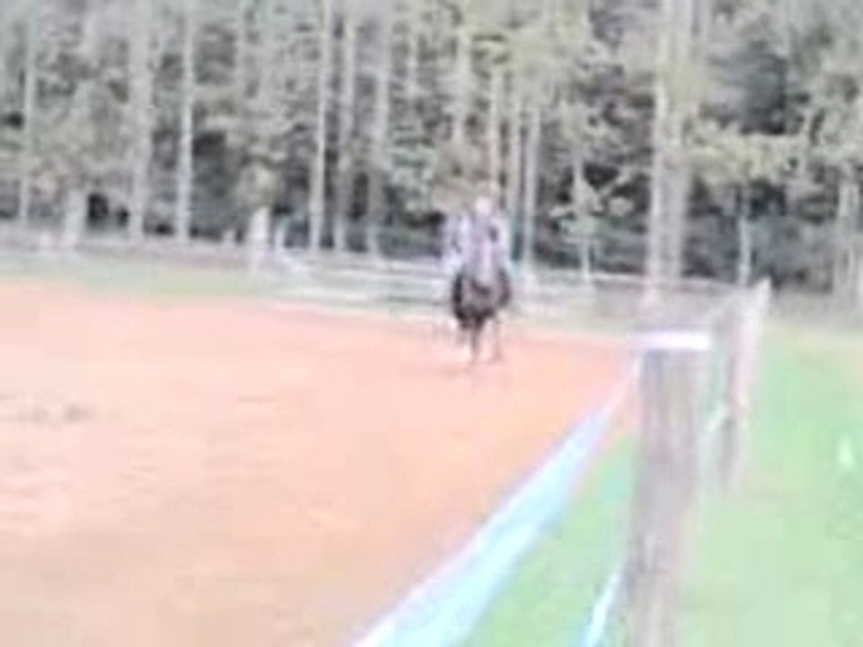Querina