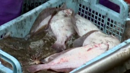 "후쿠시마산 수입 계속 요구"...日 어이없는 주장 왜? / YTN