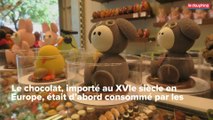 [VIDEO] Grenoble : le chocolat dans tous ses états