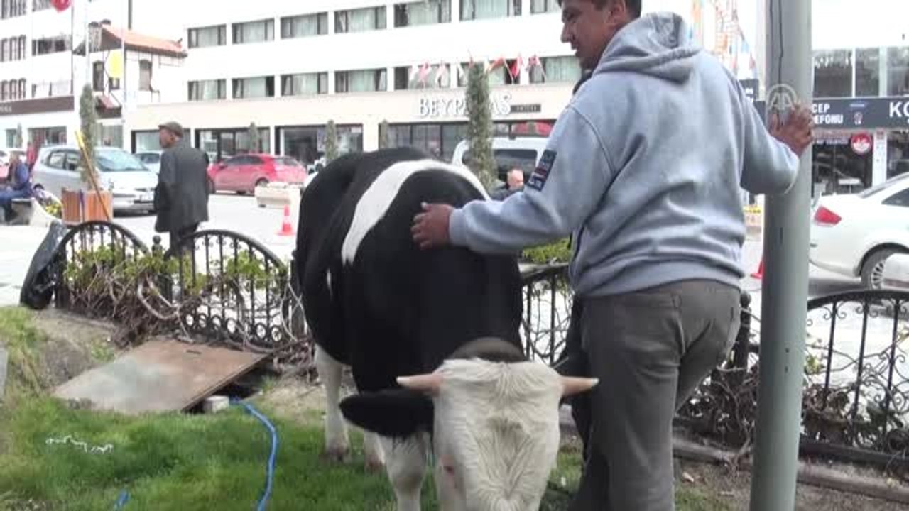 Beypazarı'nda İnşaatı Yarım Kalan Kuran Kursu İçin Kermes Düzenlendi - Ankara