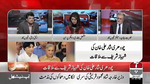 Nusrat Javed Response On The Meeting Between Shahbaz Sharif And Chaudhary Nisar..